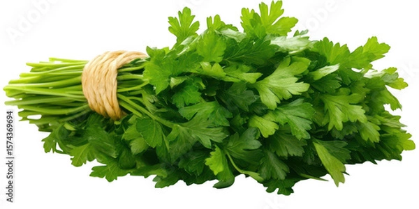 Obraz Bunch of fresh parsley tied up on transparent png photo