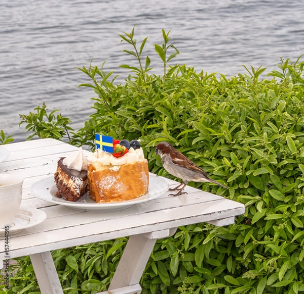 Fototapeta Bird Approaching Cake with Swedish Flag by the Water