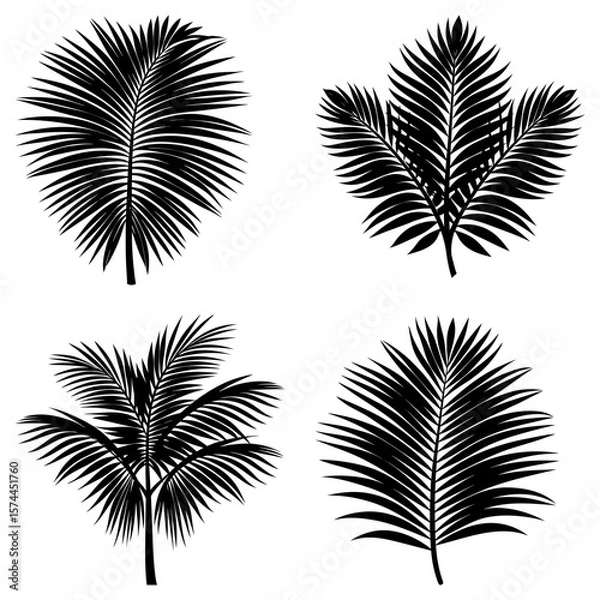 Fototapeta Illustration of four different black palm leaves isolated on a white background in a vector format design