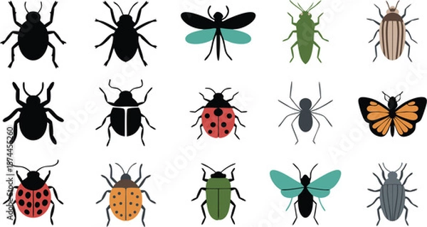 Fototapeta of Various Insects, Including Beetles, Ladybugs, Butterfly, Spider, and More on White Background
