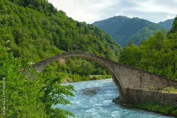 Fototapeta Stone arch bridge over river. Picturesque view of a historic stone arch bridge spanning a flowing river. Surrounded by lush greenery and majestic mountains in the background.