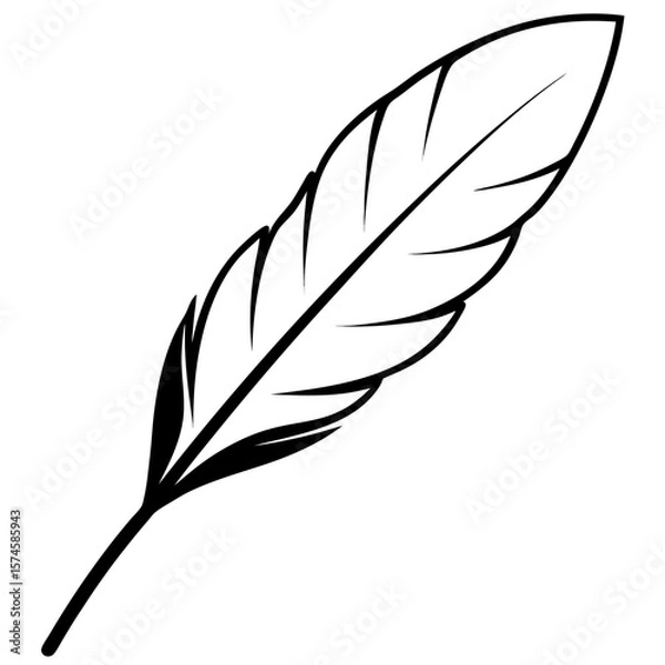 Obraz feather on white background