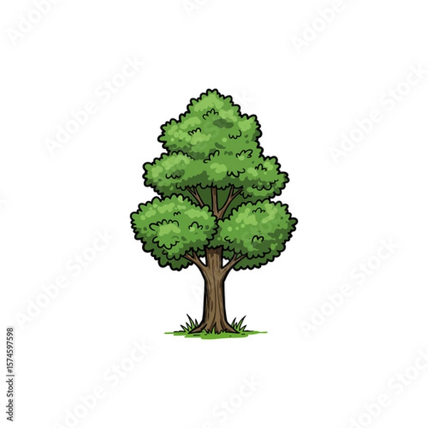 Fototapeta Colorful Icon of Wyche Elm Tree with Serrated Leaves and No White Elements