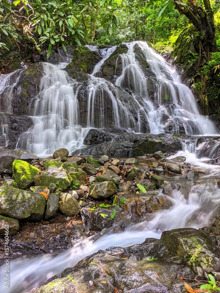 Obraz Scenic view of a small waterfall cascading over mossy rocks in a lush tropical forest. Tranquil nature scene with clear flowing water and vibrant greenery
