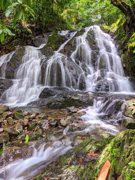 Obraz waterfall in the forest, Scenic view of a small waterfall cascading over mossy rocks in a lush tropical forest. Tranquil nature scene with clear flowing water and vibrant greenery.

