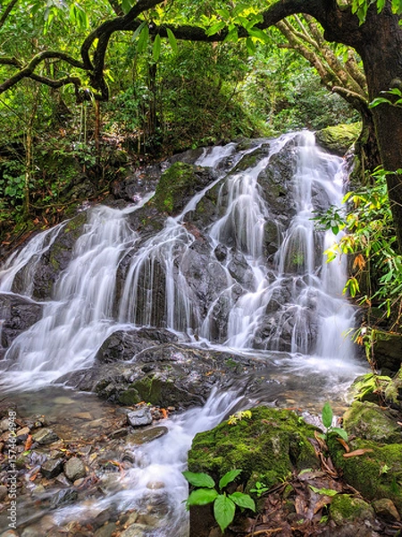 Obraz waterfall in the Forest, A small waterfall in the heart of a lush tropical forest, gently flowing over the rocks.
