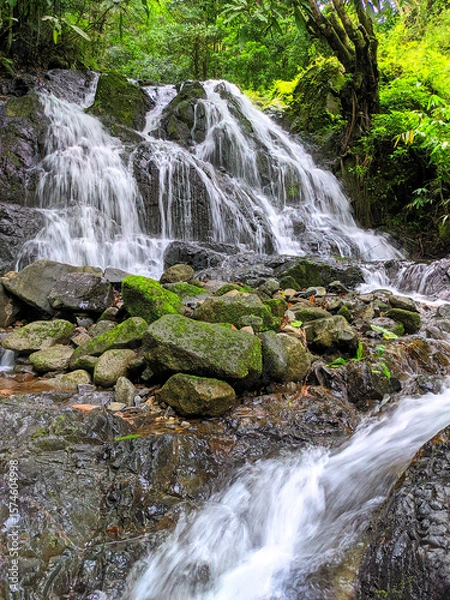 Obraz A small waterfall in the heart of a lush tropical forest, gently flowing over the rocks.