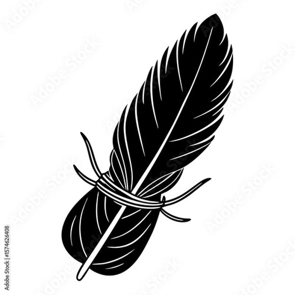 Obraz feather vector illustration