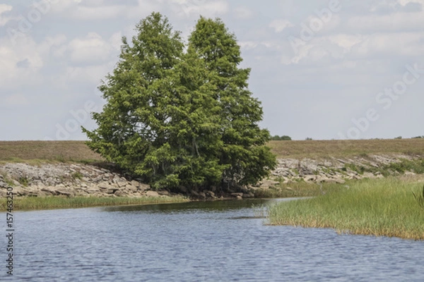 Fototapeta Stream Landscape