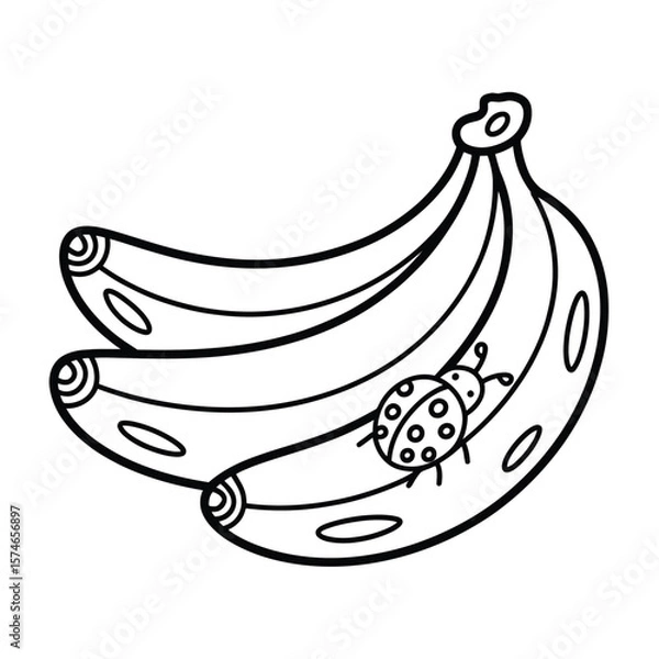 Obraz A simple black-and-white line sketch of a banana