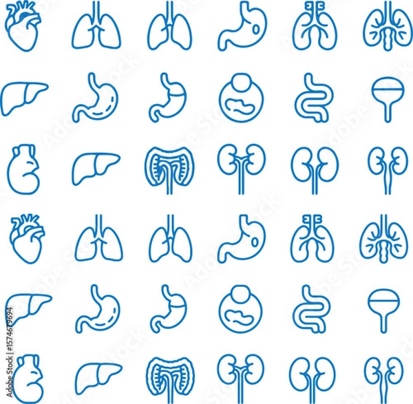Fototapeta Human Organs Line Icon Set — Heart, Lungs, Stomach, Liver, Kidneys, Intestines, Bladder Vector
