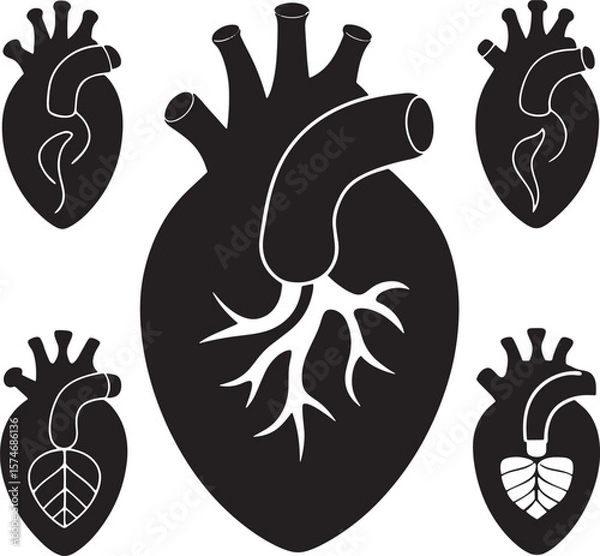 Fototapeta Collection of stylized anatomical heart silhouettes isolated on white background