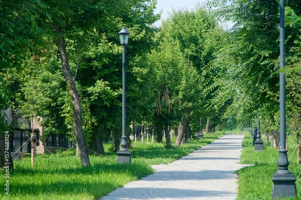 Obraz A straight paved alley lined with elegant lampposts and lush green trees in a summer city park, creating a serene setting for leisurely strolls and outdoor relaxation. Photo