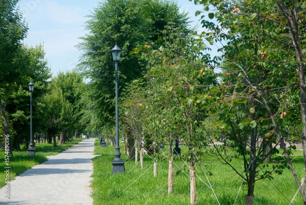 Obraz Straight paved alley runs between neatly aligned lampposts and young trees in a verdant summer city park, inviting visitors for peaceful walks and moments of relaxation. Photo