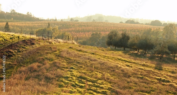 Obraz central California 