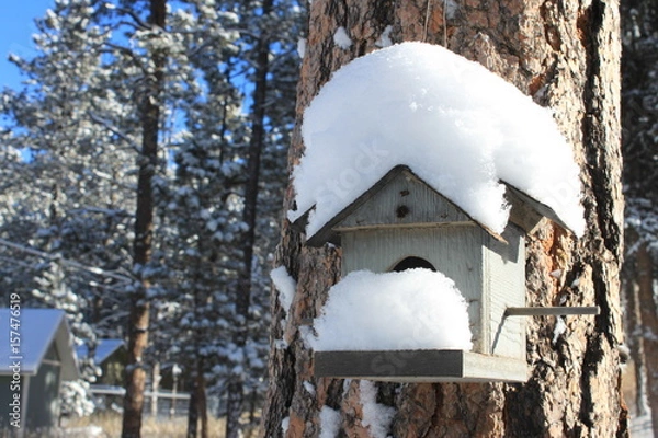 Obraz snowy bird house