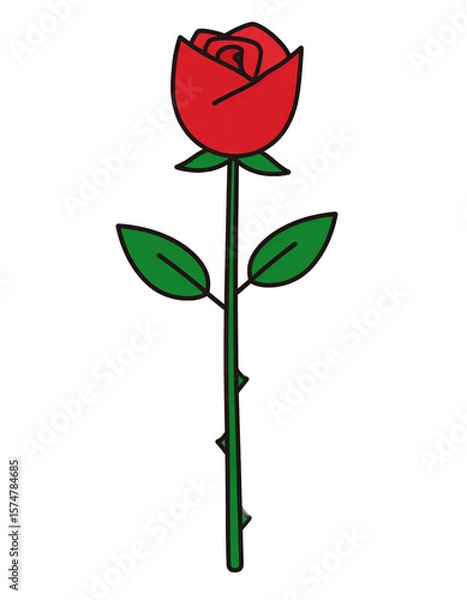 Fototapeta Hand-drawn Red Rose with Green Leaves on a White Background