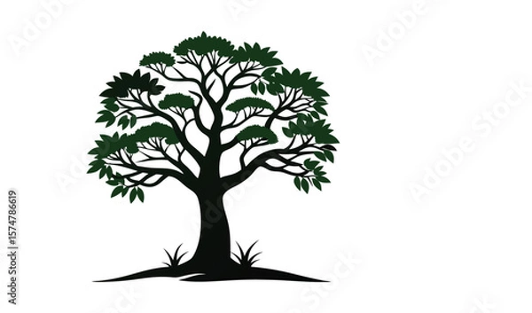 Fototapeta Dark green silhouette of a lush tree