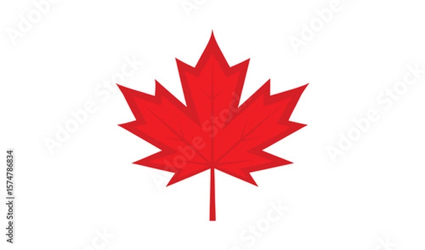 Fototapeta Single red maple leaf simple design illustration