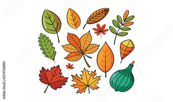 Fototapeta Autumn leaves collection with fig illustration
