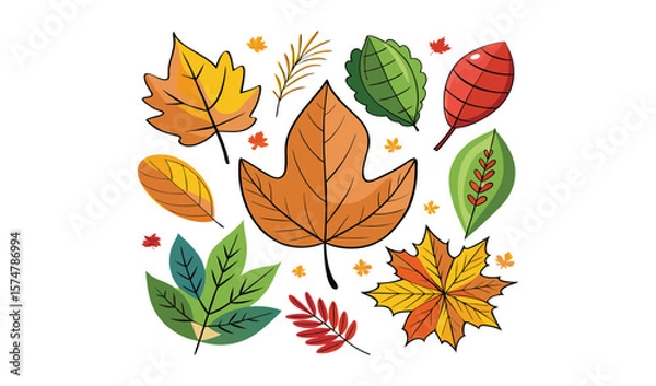 Fototapeta Autumn leaves collection colorful fall foliage