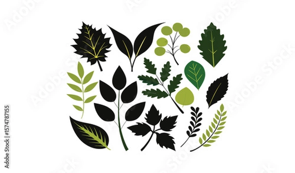 Fototapeta Collection of various green and black leaves