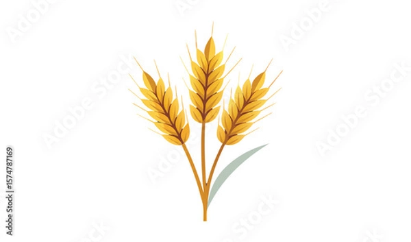 Fototapeta Three stalks of golden wheat isolated on white