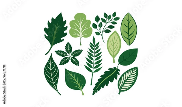 Fototapeta Collection of green leaves in a circular arrangement