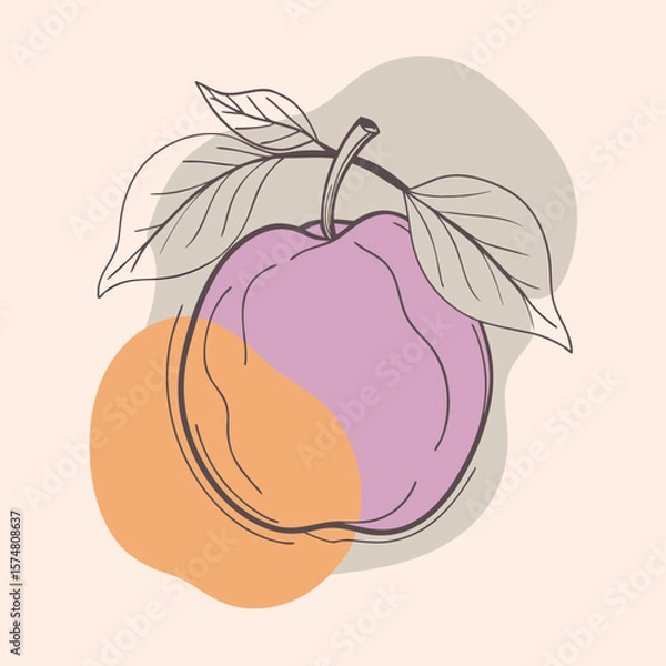 Obraz Flat Vector Quince Fruit Silhouette Square Rounded Design Element