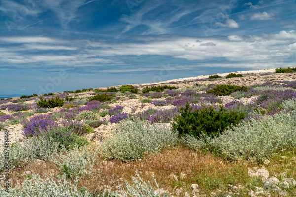 Fototapeta Hiking routes on the Pag Island in Croatia.