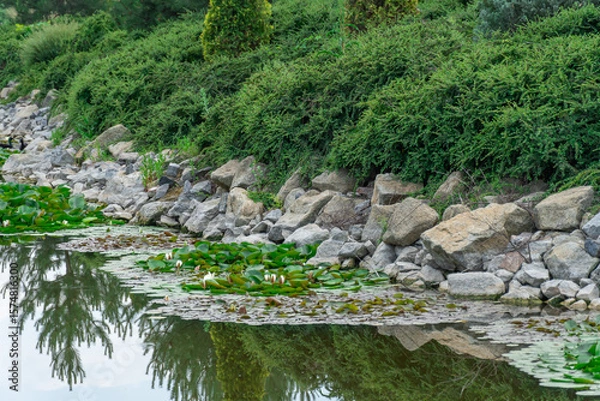 Obraz Large boulder in city park. Big stone near artificial decorative pond in landscape design. Fragment of beautiful garden with white water lilies or lotus flowers. Flower lotus of blooming in rock lake.