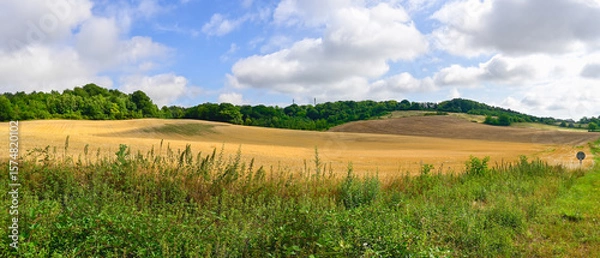 Fototapeta Panoramic photograph of a hilly landscape with grain fields, forests, and grass against a blue sky with clouds. Location: Laon, France.