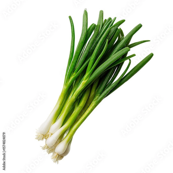 Obraz Fresh green onion on transparent background