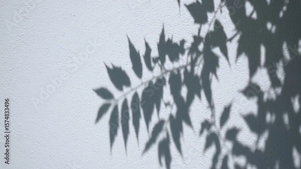 Fototapeta Soft leaf shadows dance across sunlit white wall, evoking calm and simplicity. These leaf shadows create minimal, nature-inspired aesthetic, foliage silhouette