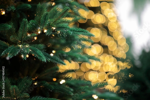 Obraz green Christmas tree closeup