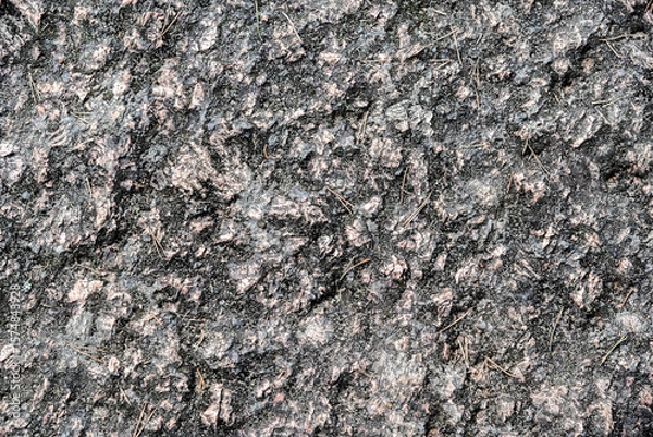 Fototapeta Granite stone surface with roughness and unevenness with old pine needles for use as abstract background and texture.