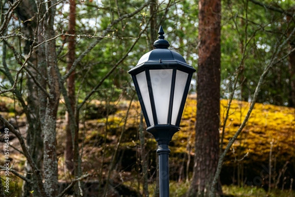 Fototapeta Fragment of a city street lamp on a pole against the background of a spring forest.
