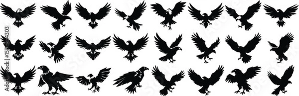 Obraz Collection of silhouetted eagles in various poses depicting freedom power and grace ready to soar against a clean white background