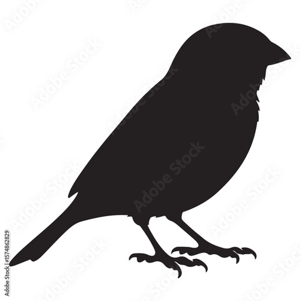 Fototapeta Minimalist Black Sparrow Silhouette Illustration