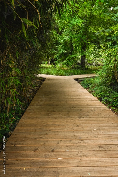 Fototapeta Pathway through a serene forest, inviting exploration and contemplation in nature's embrace on a tranquil afternoon