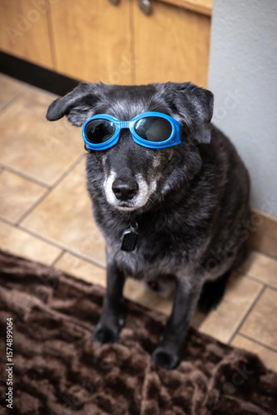 Obraz Waiting for laser treatment