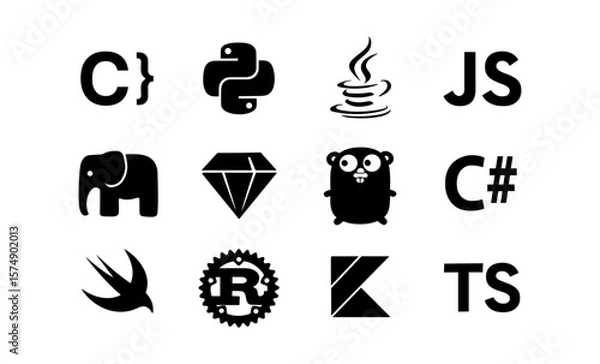 Obraz Popular programming language icons in modern black silhouette style