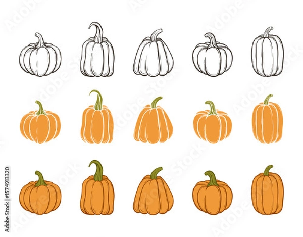 Fototapeta A set of pumpkins, black outlined and colored. Vector collection of cute hand drawn pumpkins on white background. Elements for autumn decorative design, halloween invitation, harvest thanksgiving