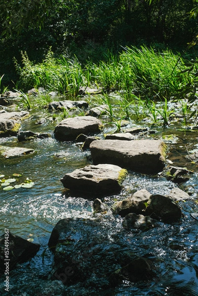 Fototapeta Sunlit stepping stones cross a shallow, clear stream, bordered by lush green foliage and sparkling water.