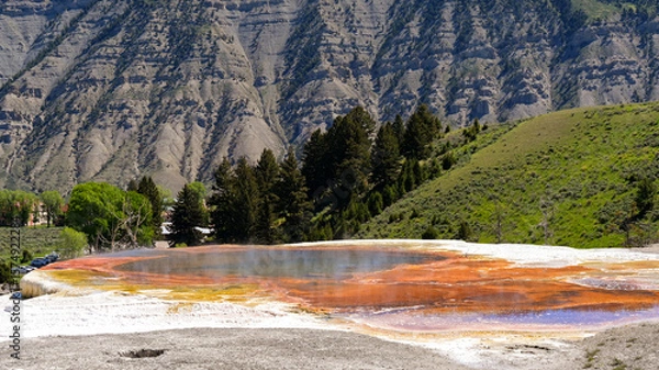 Obraz Scenic landscape view of the Palette Spring at Mammoth Hot Springs in Yellowstone National Park
