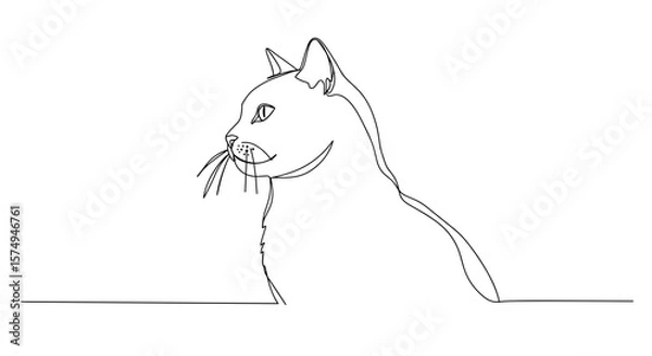 Fototapeta Cat outline drawing with whiskers on a transparent background  
