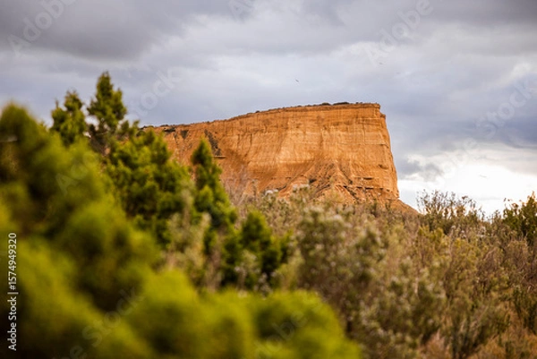 Obraz red hill with tree in front