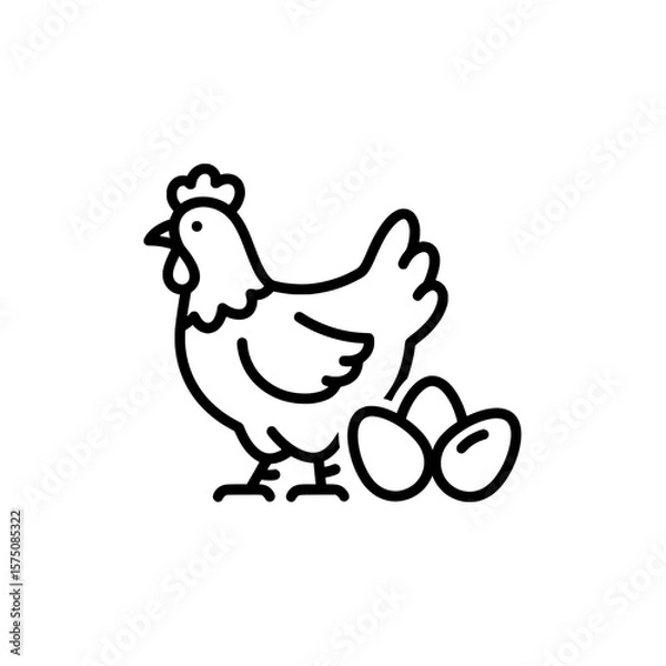 Fototapeta Chicken with eggs on a black background for culinary or farm themes