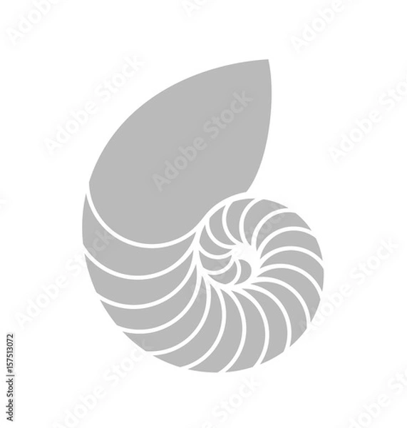 Fototapeta Nautilus Shell