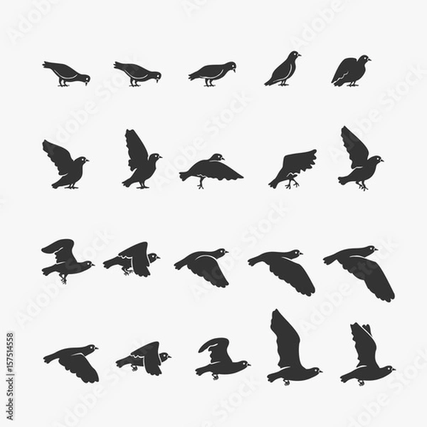 Fototapeta Animacja gołąb latający ilustracji wektorowych